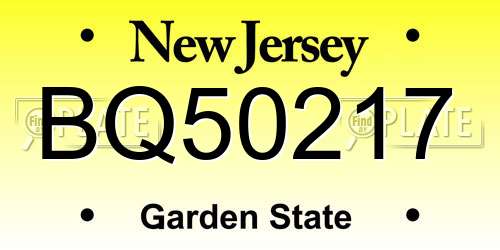 BQ50217 New Jersey License Plate