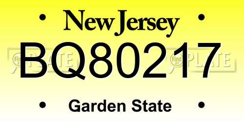 BQ80217 New Jersey License Plate