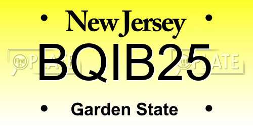 BQIB25 New Jersey License Plate
