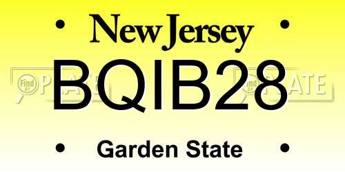 BQIB28 New Jersey License Plate