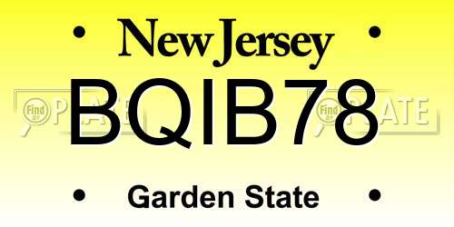 BQIB78 New Jersey License Plate