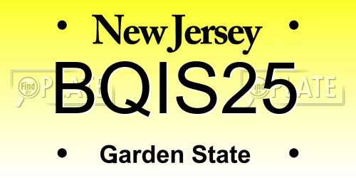 BQIS25 New Jersey License Plate