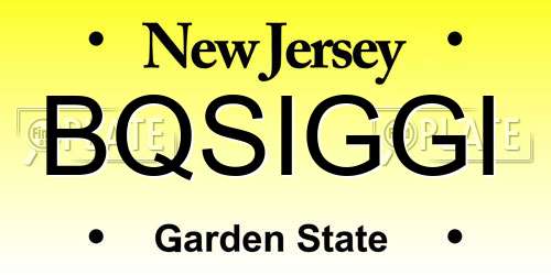 BQSIGGI New Jersey License Plate