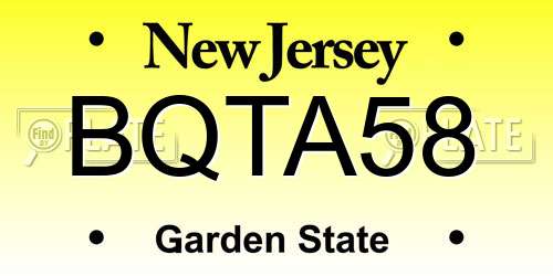 BQTA58 New Jersey License Plate