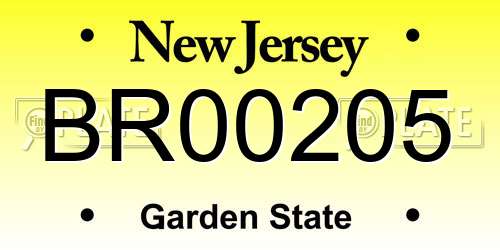 BR00205 New Jersey License Plate