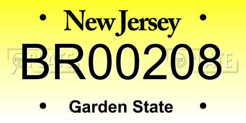 BR00208 New Jersey License Plate