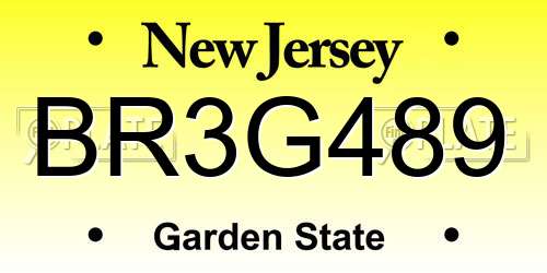 BR3G489 New Jersey License Plate
