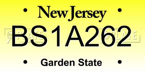 BS1A262 New Jersey License Plate