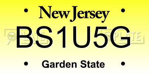 BS1U5G New Jersey License Plate