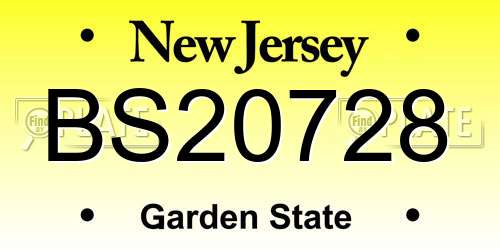 BS20728 New Jersey License Plate