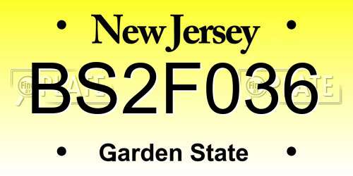 BS2F036 New Jersey License Plate