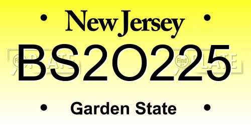 BS2O225 New Jersey License Plate
