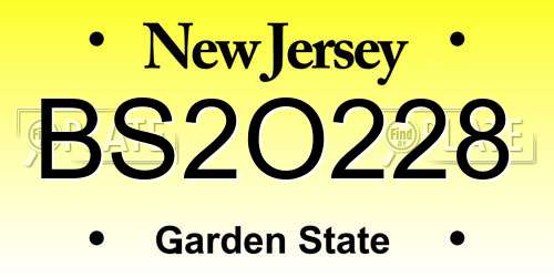BS2O228 New Jersey License Plate