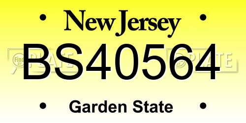 BS40564 New Jersey License Plate