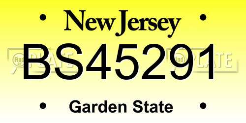 BS45291 New Jersey License Plate