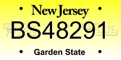 BS48291 New Jersey License Plate