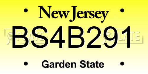 BS4B291 New Jersey License Plate