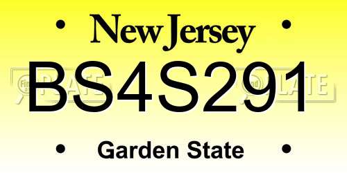BS4S291 New Jersey License Plate