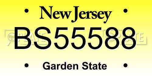 BS55588 New Jersey License Plate