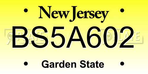 BS5A602 New Jersey License Plate