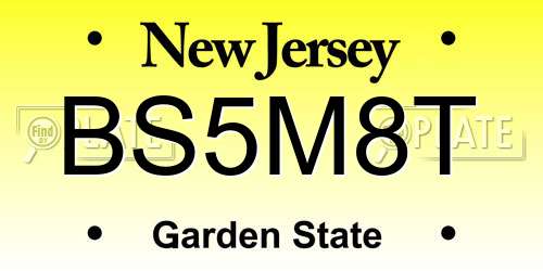 BS5M8T New Jersey License Plate
