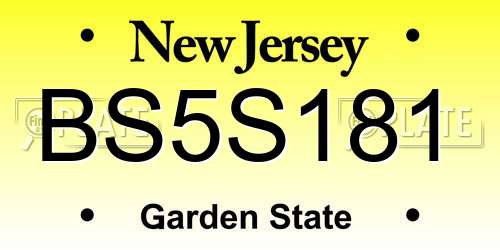 BS5S181 New Jersey License Plate