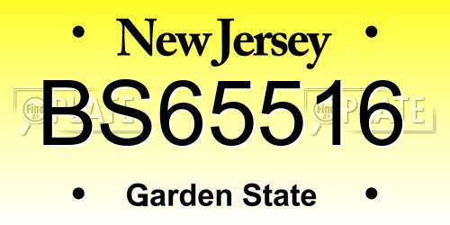 BS65516 New Jersey License Plate