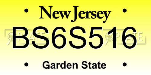 BS6S516 New Jersey License Plate