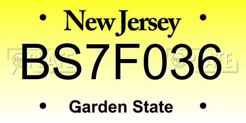 BS7F036 New Jersey License Plate