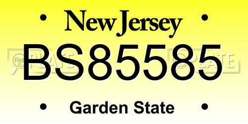 BS85585 New Jersey License Plate