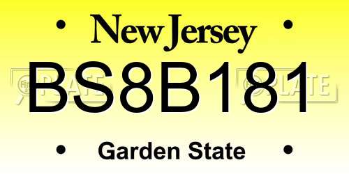 BS8B181 New Jersey License Plate
