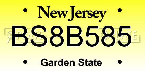 BS8B585 New Jersey License Plate