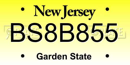 BS8B855 New Jersey License Plate