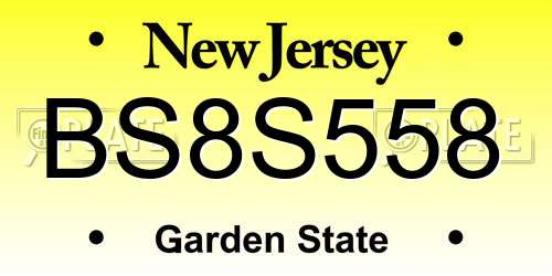 BS8S558 New Jersey License Plate