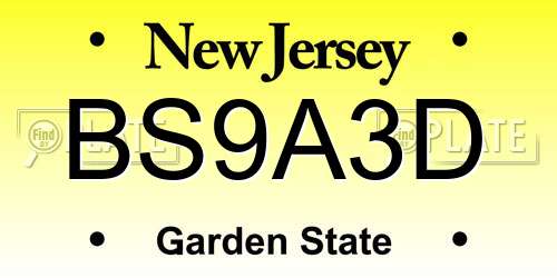 BS9A3D New Jersey License Plate