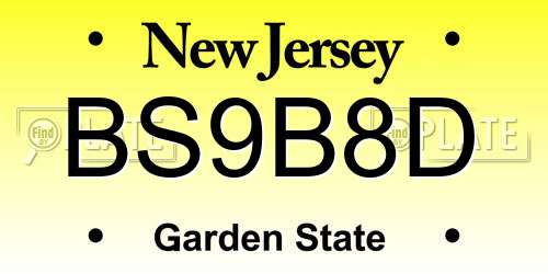 BS9B8D New Jersey License Plate