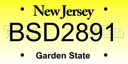 BSD2891 New Jersey License Plate
