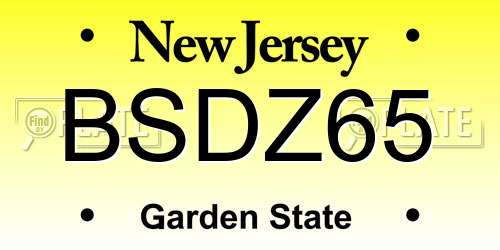 BSDZ65 New Jersey License Plate