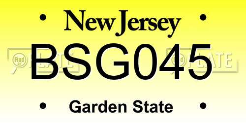 BSG045 New Jersey License Plate