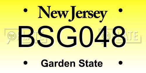BSG048 New Jersey License Plate