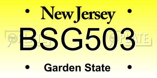 BSG503 New Jersey License Plate