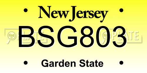 BSG803 New Jersey License Plate