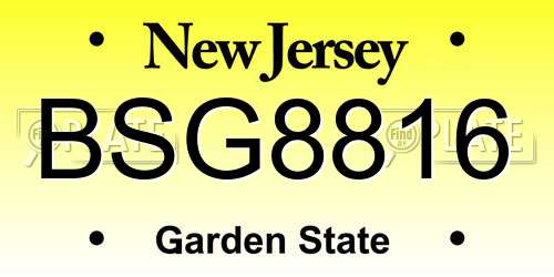 BSG8816 New Jersey License Plate