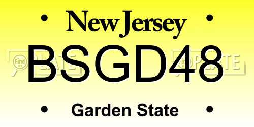 BSGD48 New Jersey License Plate
