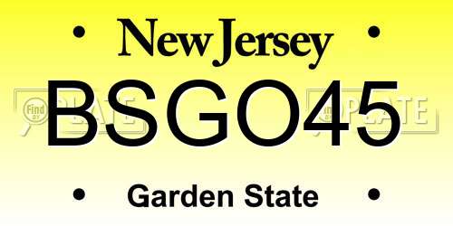 BSGO45 New Jersey License Plate