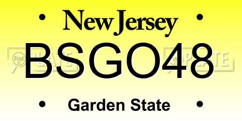 BSGO48 New Jersey License Plate