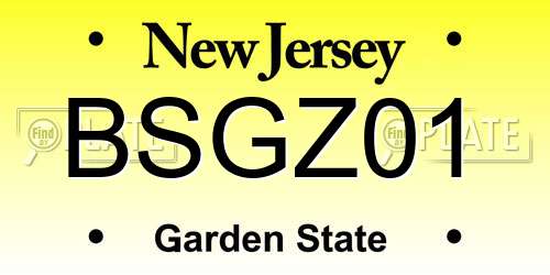 BSGZ01 New Jersey License Plate