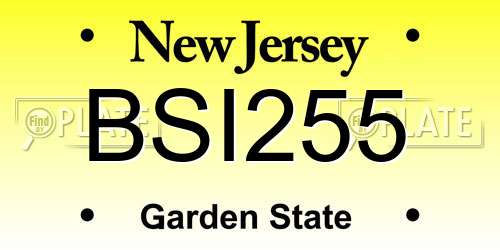 BSI255 New Jersey License Plate