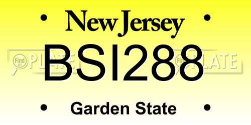 BSI288 New Jersey License Plate