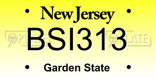 BSI313 New Jersey License Plate